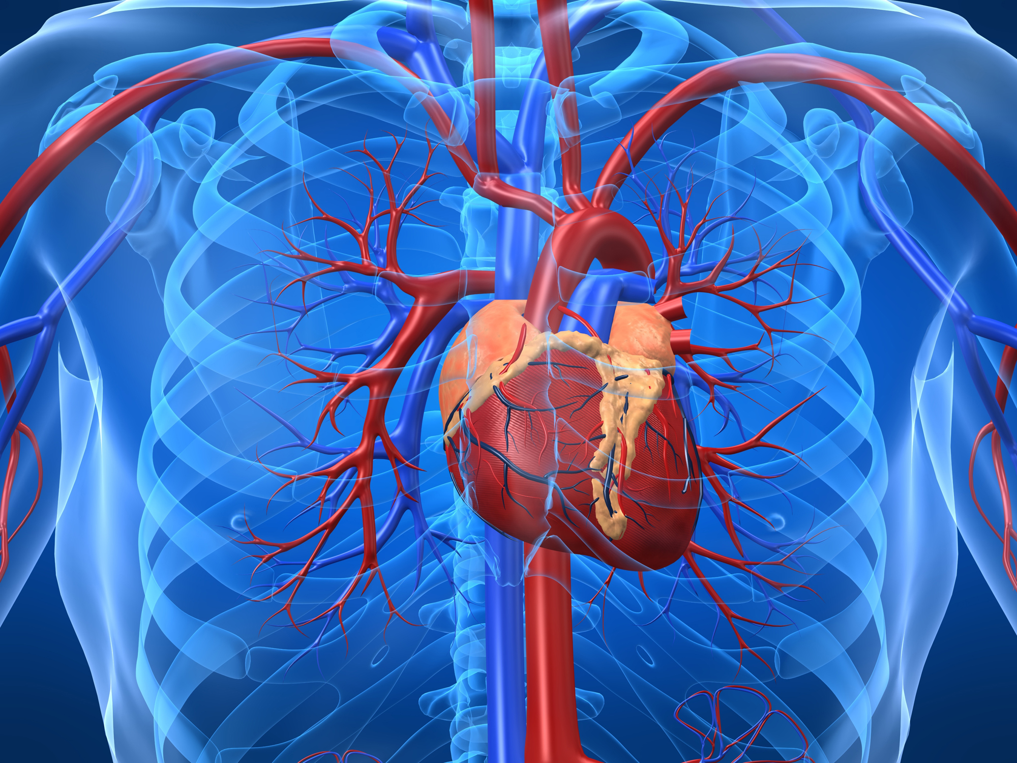 ICDF realiza 14º transplante cardíaco de 2020