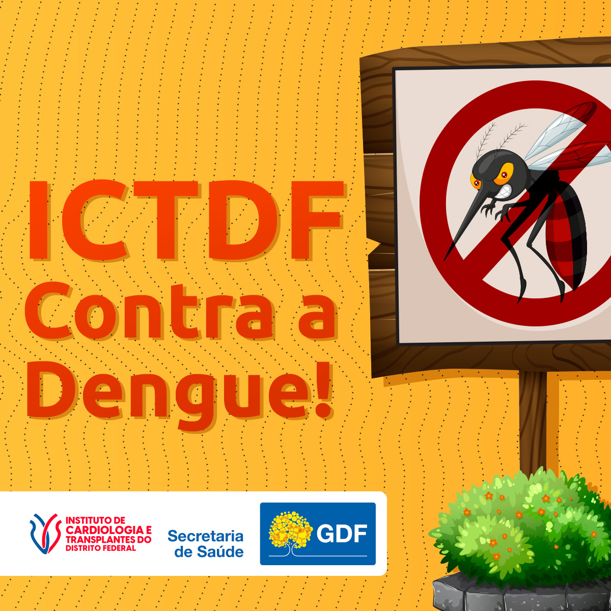 ICTDF alerta e dá dicas para o combate à Dengue