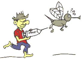 Entenda como funciona a Doença de Chagas