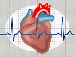 Entenda como funciona a Arrtmia Cardíaca